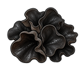 Black Fungus
