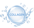 Hydrolyzed Collagen Blend
