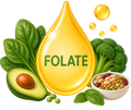 Folate