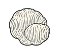 Lion’s Mane