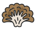 Maitake