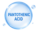 Pantothenic Acid