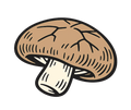 Shiitake