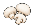 White Button