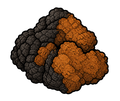 Chaga