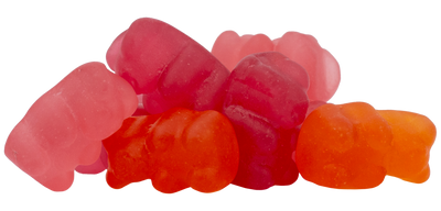 Kids Multivitamin Gummy Bears